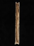 Fore edge